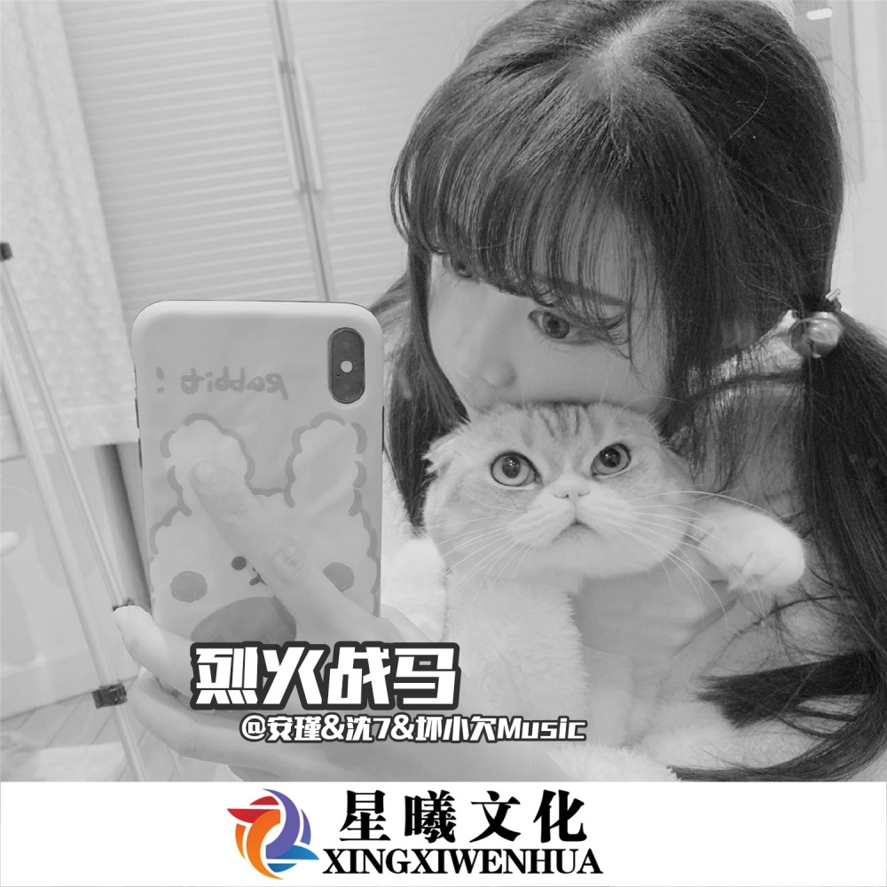 用饶舌来表达我现在的想法 (抖音版)