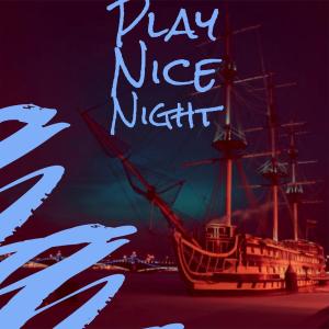 Various的专辑Play Nice Night