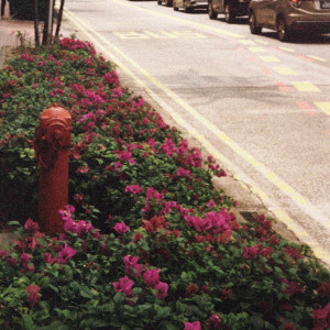 ดาวน์โหลดและฟังเพลง Easy พร้อมเนื้อเพลงจาก RAYHAN NOOR