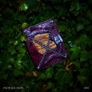 ดาวน์โหลดและฟังเพลง The Low Burnishing Light In Which All Is Revealed พร้อมเนื้อเพลงจาก DUM BOY STICKY