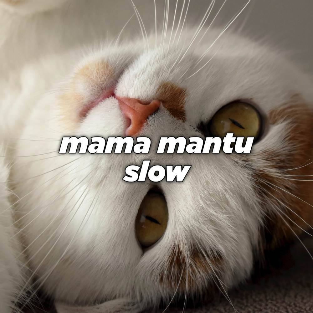 DJ MAMA MANTU SLOW