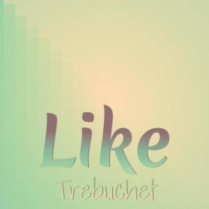 Various的专辑Like Trebuchet
