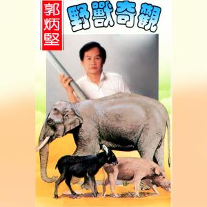 收聽郭炳堅的失戀又再開始 / 冇銀鬼接近 / 邊個夠我威 (修復版)歌詞歌曲