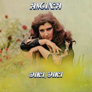 ดาวน์โหลดและฟังเพลง Diki Diki พร้อมเนื้อเพลงจาก Amina