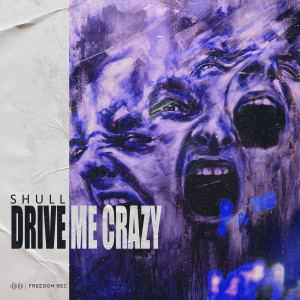 ดาวน์โหลดและฟังเพลง Drive Me Crazy พร้อมเนื้อเพลงจาก SHULL