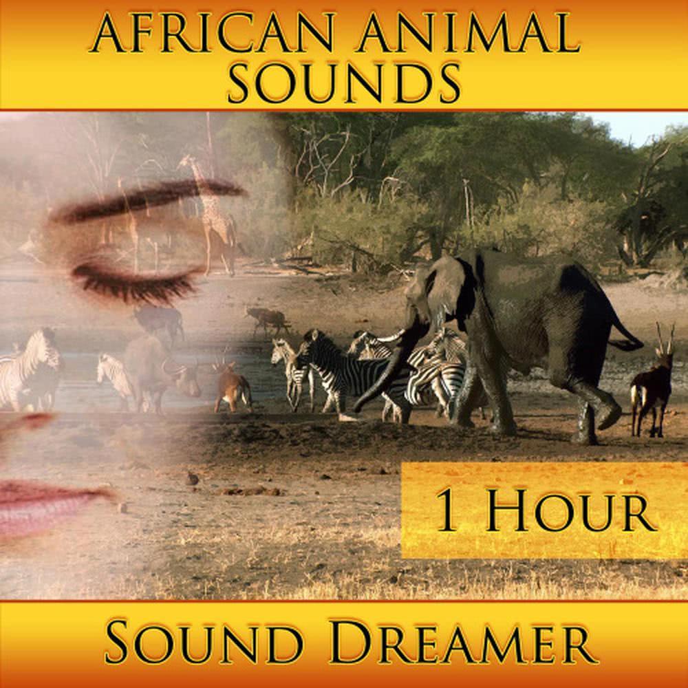 African Animal Sounds - 1 Hour