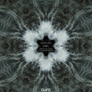 ดาวน์โหลดและฟังเพลง Owl (Dan Kubo Night Bird Mix) พร้อมเนื้อเพลงจาก Dan Kubo