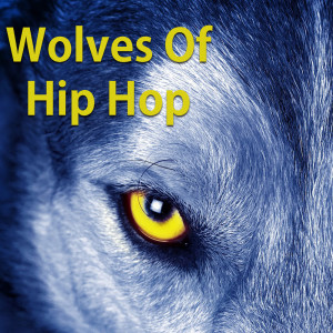 Listen to Ridin' Wit The Ak (Explicit) song with lyrics from Lil Wayne