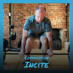 Various的专辑Commission Incite