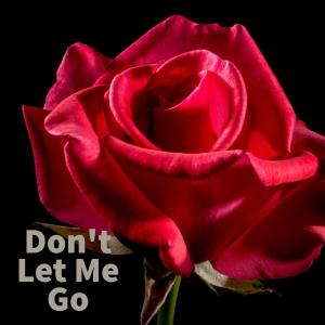 Album Don't Let Me Go from John Hunter