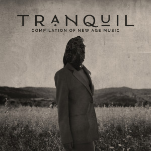 ดาวน์โหลดและฟังเพลง Tranquil Routine พร้อมเนื้อเพลงจาก Calm Music Zone