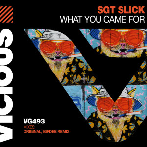 收听Sgt Slick的What You Came For歌词歌曲