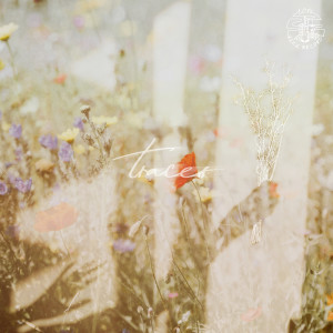 Listen to traces song with lyrics from sftspkn