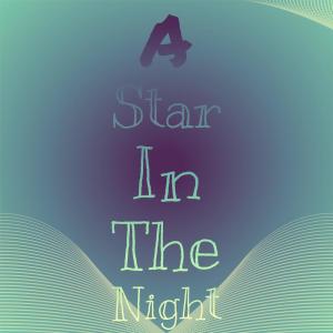 A Star In The Night dari Silvia Natiello-Spiller