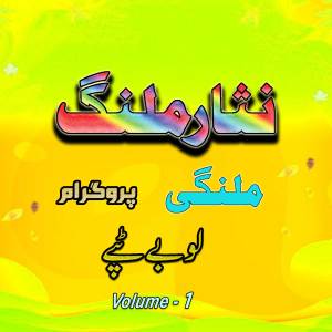 Nisar Malang的專輯Nisar Malang Malangai, Volume. 1