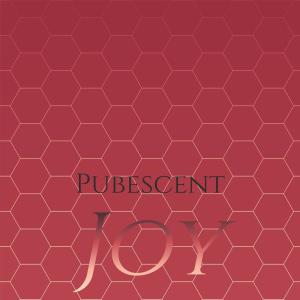 Listen to *****cent Joy song with lyrics from Lorne Nais