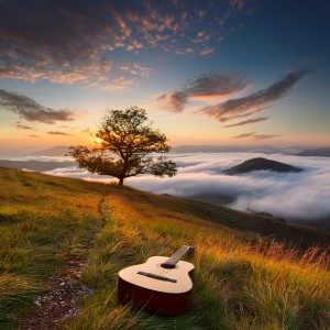 default playlist img