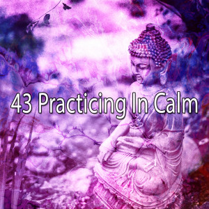 ดาวน์โหลดและฟังเพลง Increase in Serotonin พร้อมเนื้อเพลงจาก Yoga Music