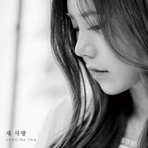 收聽宋荷藝的Another Love (Single Version)歌詞歌曲