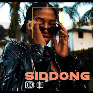 Listen to Siddong (Explicit) song with lyrics from Bush Tea