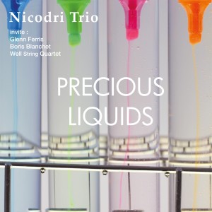 Listen to Droit dans le mur song with lyrics from Nicolas Dri