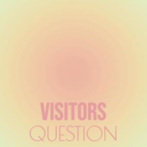 Various Artists的專輯Visitors Question