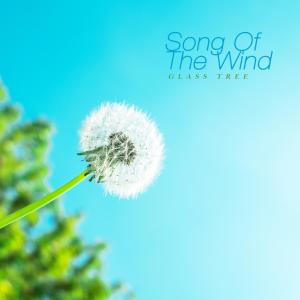 Andantino的专辑Song Of The Wind