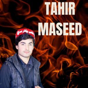 Album Pashto Sandare Tahir Maseed from Tahir Maseed