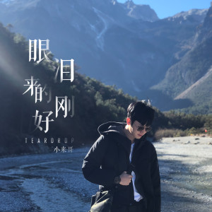 Listen to 眼泪来的刚好 song with lyrics from 小来