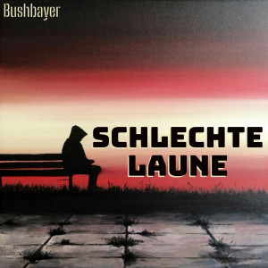 Listen to Schlechte Laune song with lyrics from Bushbayer