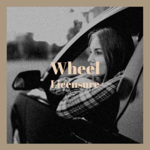 Listen to Wheel Licensure song with lyrics from Larsa