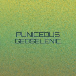 Album Puniceous Geoselenic from Various