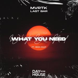 Listen to What You Need song with lyrics from MVRTK