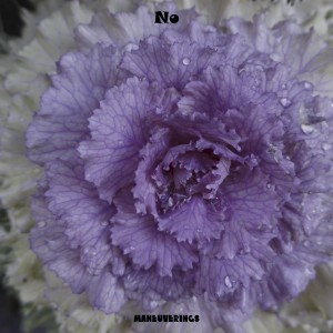 收听Maneuverings的The Perfect Man歌词歌曲