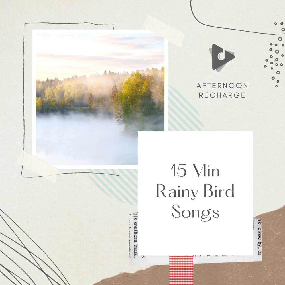 Birds, Rain and Thunder