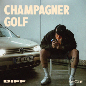 Listen to Abziehbild song with lyrics from Biff