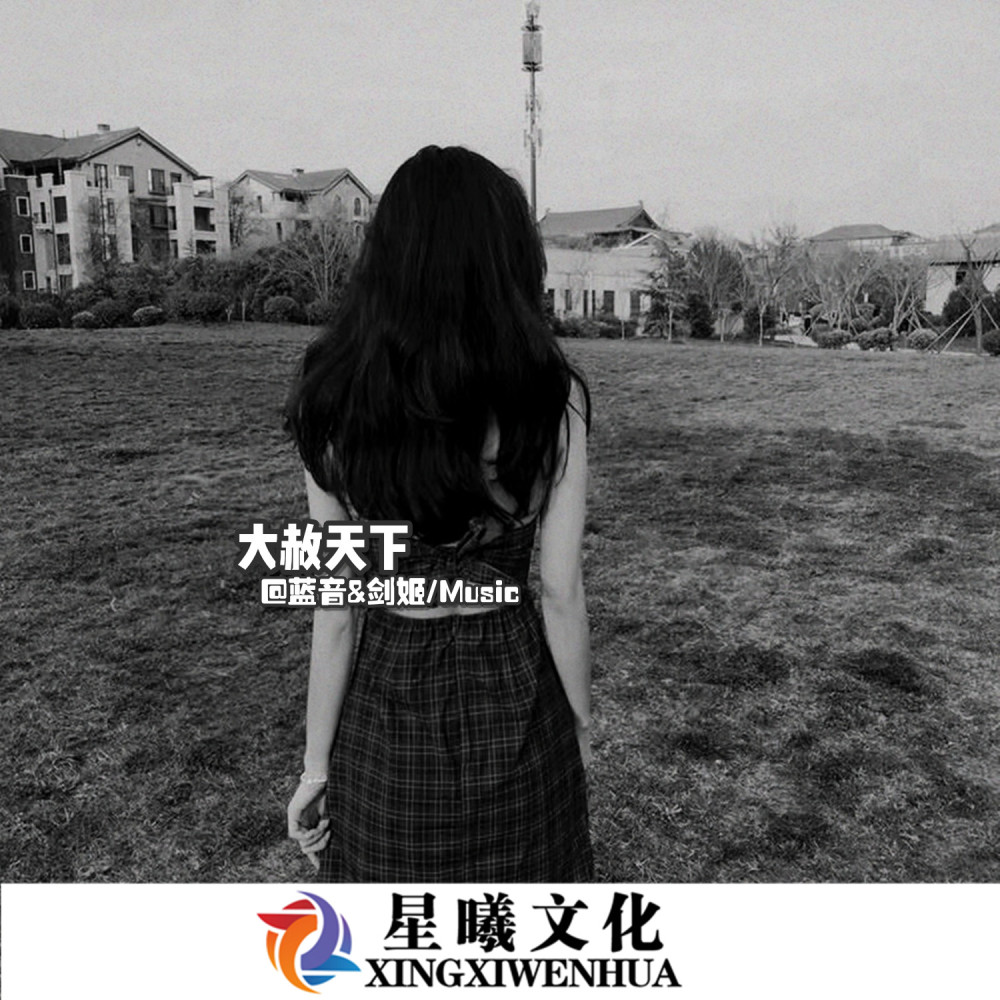 2020抖音最火电音 (Remix)