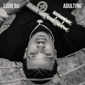 Listen to Adulting 2 song with lyrics from Ludo Bu