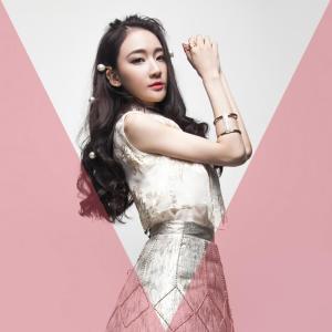 Listen to 你給我站住 song with lyrics from 刘丹萌