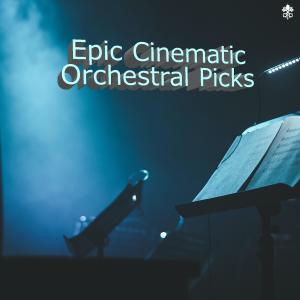 Album Epic Cinematic Orchestral Picks from Various