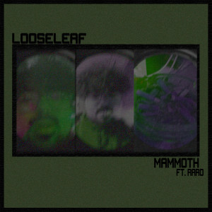 收聽MAMMOTH.的Looseleaf (Explicit)歌詞歌曲