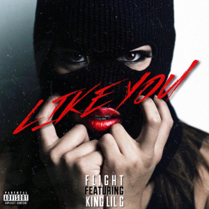 ดาวน์โหลดและฟังเพลง Like You (feat. King Lil G) (Explicit) พร้อมเนื้อเพลงจาก Flight
