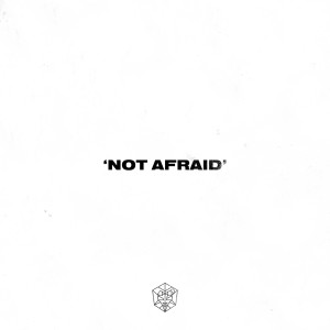 收听HL:DR的Not Afraid歌词歌曲
