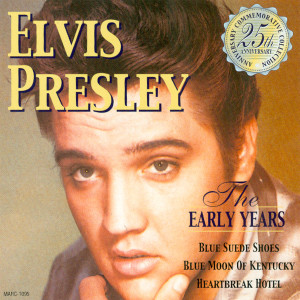 收聽Elvis Presley的Heartbreak Hotel歌詞歌曲