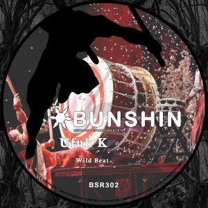 收听Ufuk K的Wild Beat歌词歌曲