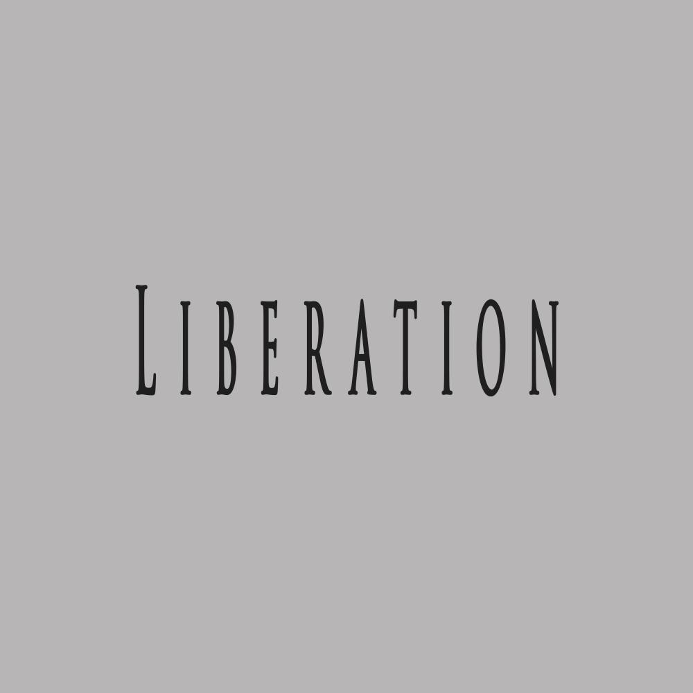 Liberation (feat. Leveller Beats)
