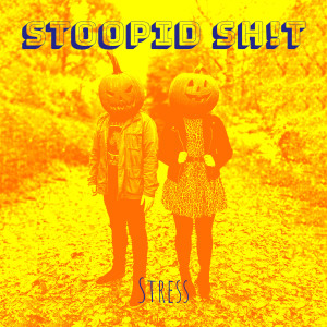 Listen to Stoopid Sh!T (Explicit) song with lyrics from Stress