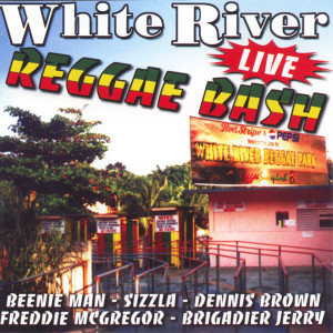 Listen to Silent voice (Live) song with lyrics from Beenie Man