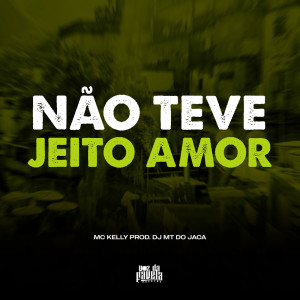 Listen to Não Teve Jeito Amor (Explicit) song with lyrics from Dj MT do Jaca