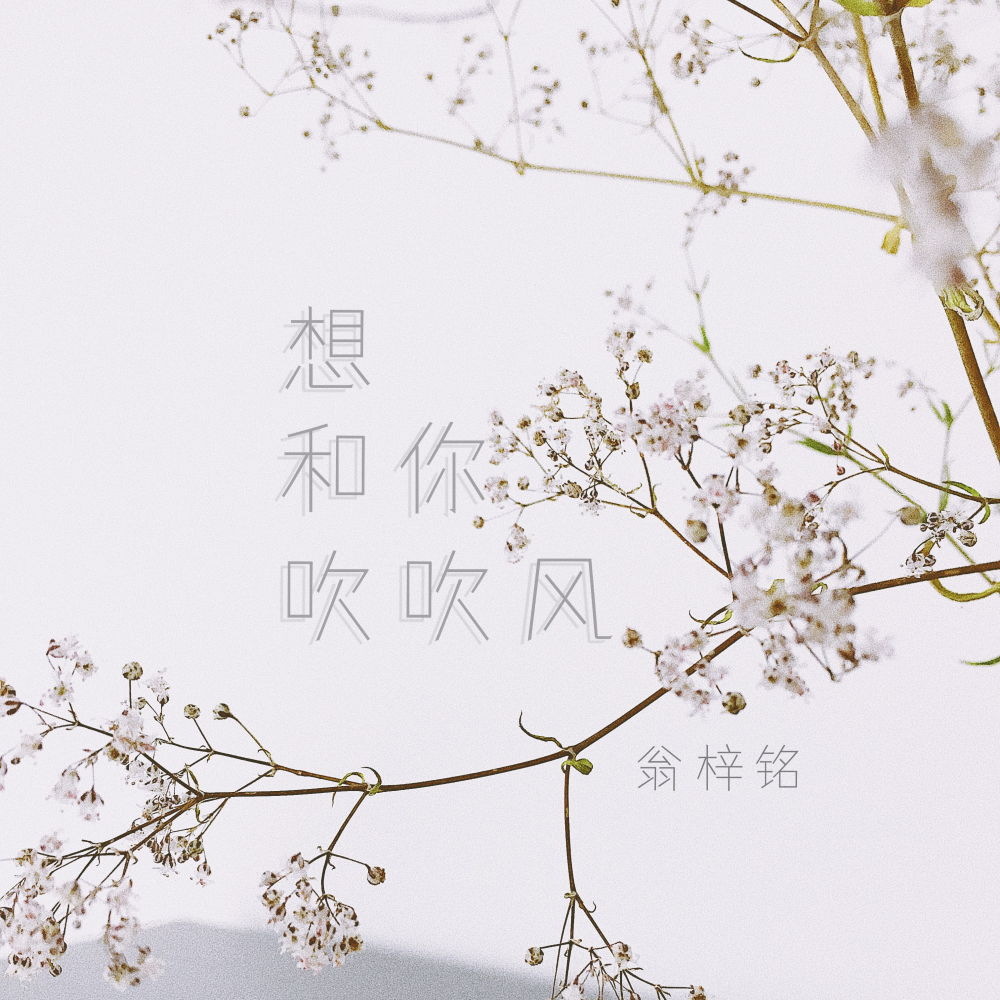 想和你吹吹风 (和声伴奏)